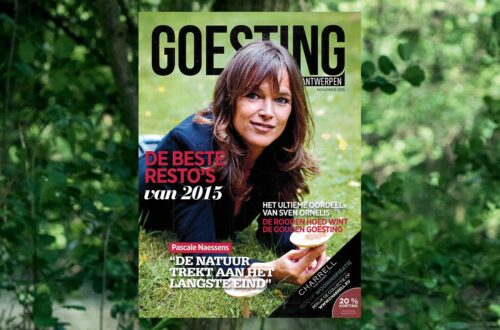 Goesting magazine – Banner 1600×755 RGB_0 Goesting